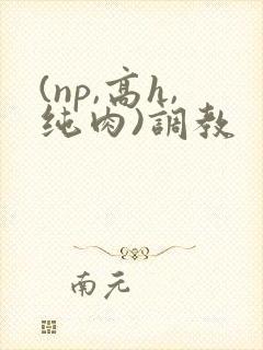 (np,高h,纯肉)调教