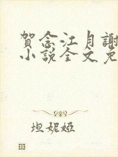 贺念江月谢泊年小说全文免费阅读笔趣阁