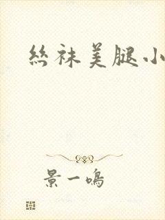 丝袜美腿小说封面