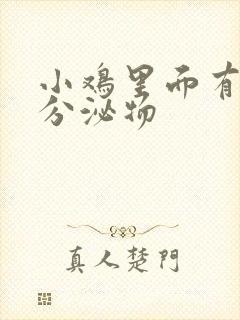 小鸡里面有黄色分泌物