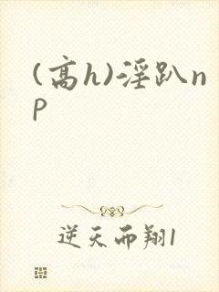 (高h)淫趴np封面