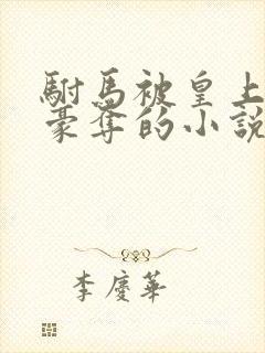 驸马被皇上强取豪夺的小说