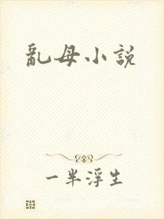 乱母小说