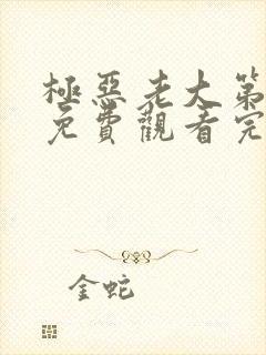 极恶老大第3季免费观看完整版