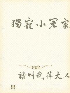 独宠小冤家封面