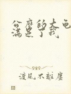 公么的大龟强大满足了我