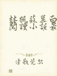 林枫苏慕白免费阅读小说最新章节封面