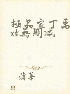 极品家丁禹岩txt无删减