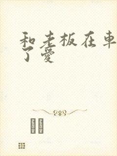 和老板在车里做了爱封面