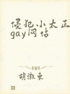侵犯小太正裸体gay网站