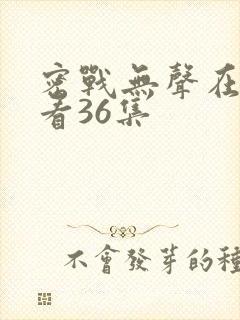 密战无声在线观看36集