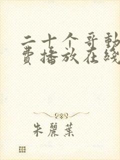 二十个哥动漫免费播放在线观看