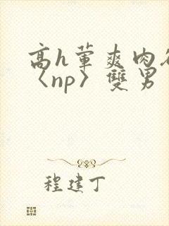 高h荤爽肉欲文〈np〉双男