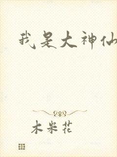 我是大神仙小说