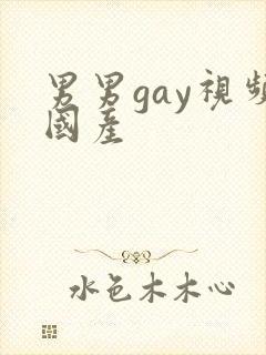 男男gay视频国产封面