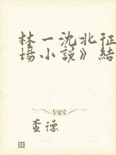 林一沈北征《官场小说》结局