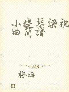 小提琴梁祝主题曲简谱