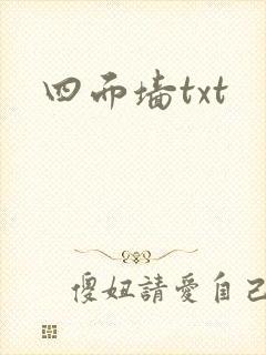 四面墙txt