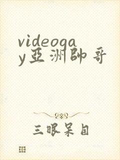 videogay亚洲帅哥