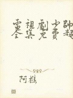 电视剧少帅48全集免费超清