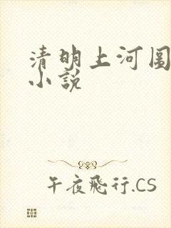 清明上河图密码小说