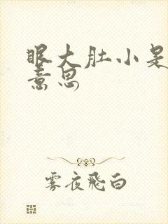 眼大肚小是什么意思封面