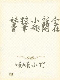 妹控小说全文免费笔趣阁在线阅读