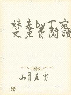 妹夫by丁宛全文免费阅读笔趣阁