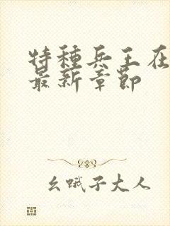 特种兵王在山村最新章节