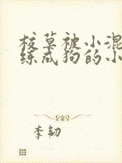 校草被小混混训练成狗的小说封面