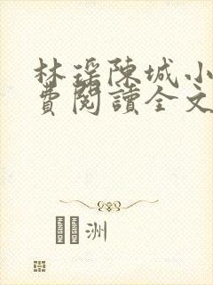 林瑶陈城小说免费阅读全文最新章节