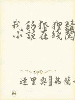 我的狐狸精后妈小说在线阅读