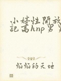 小婷性开放肉日记高hnp男男封面