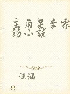 主角是李霖李澜的小说封面