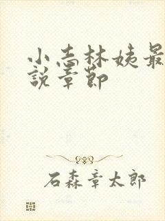 小志林姨最新小说章节封面