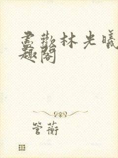 尽欢林光曦 笔趣阁