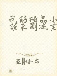 我的极品小姨小说未删减完整版封面