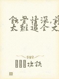 蚀骨情深,前妻太难追全文txt