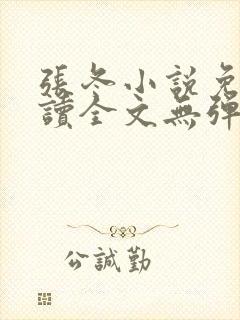 张冬小说免费阅读全文无弹窗封面