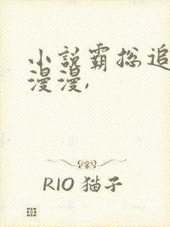 小说霸总追妻路漫漫,封面