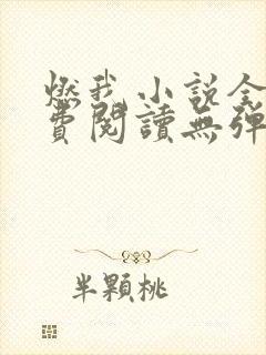 燃我小说全文免费阅读无弹窗封面