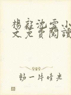 杨毅沈雪小说全文免费阅读