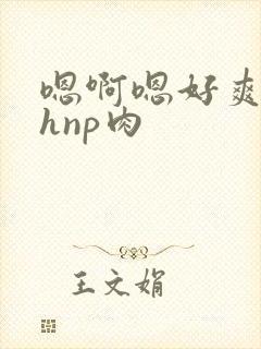 嗯啊嗯好爽啊高hnp肉