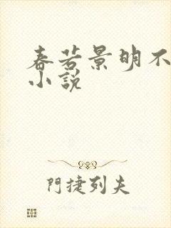 春若景明不相逢小说