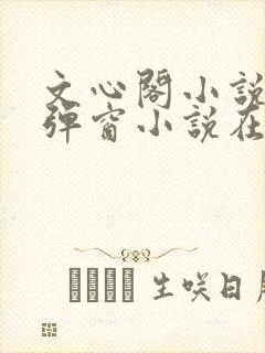 文心阁小说_无弹窗小说在线免费阅读封面
