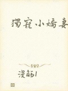 独宠小娇妻