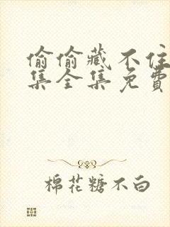 偷偷藏不住60集全集免费播放