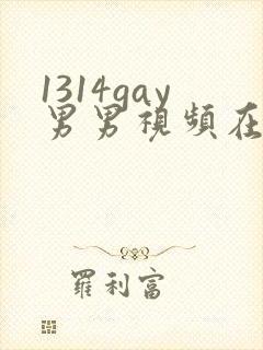 1314gay男男视频在线观看