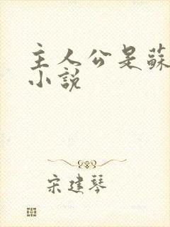 主人公是苏扬的小说封面