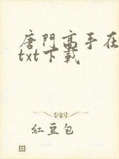 唐门高手在异世txt下载